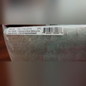 Brahmin Cactus Ombre Ady